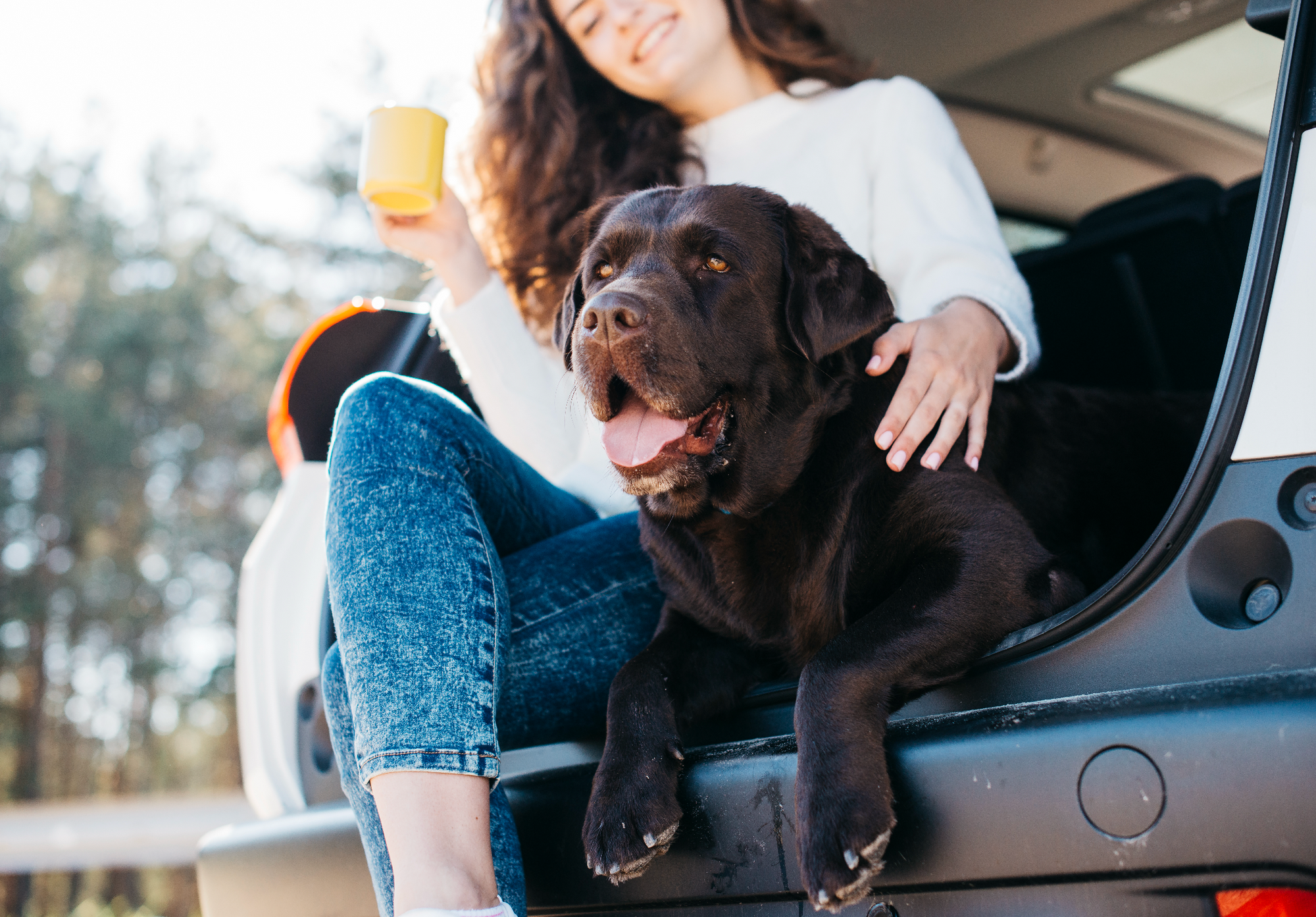 On the Road: My Honest Guide to Road-Tripping with Your Dog