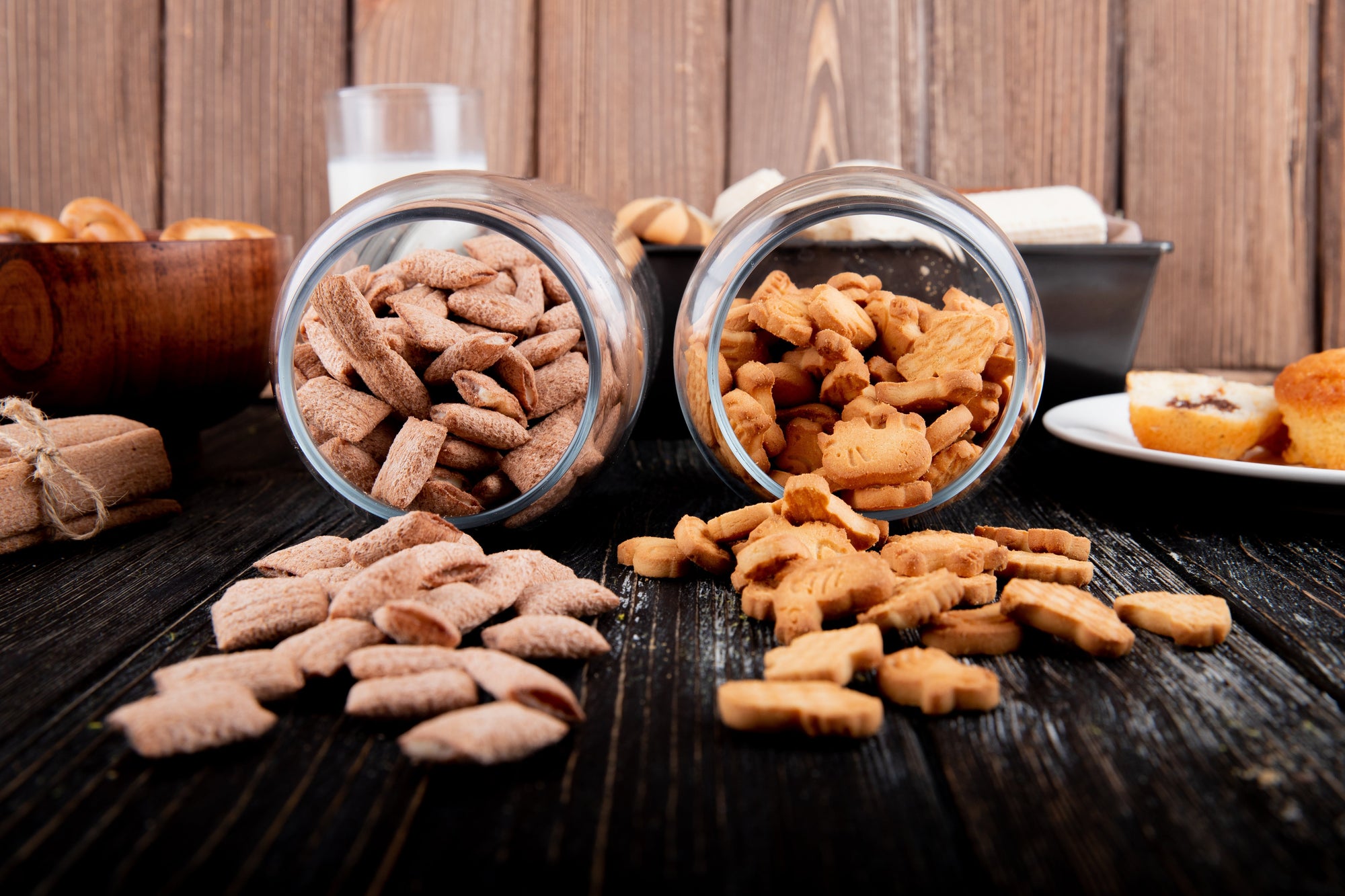 Shelf-Stable vs. Frozen Dog Food: Which is Actually Better?