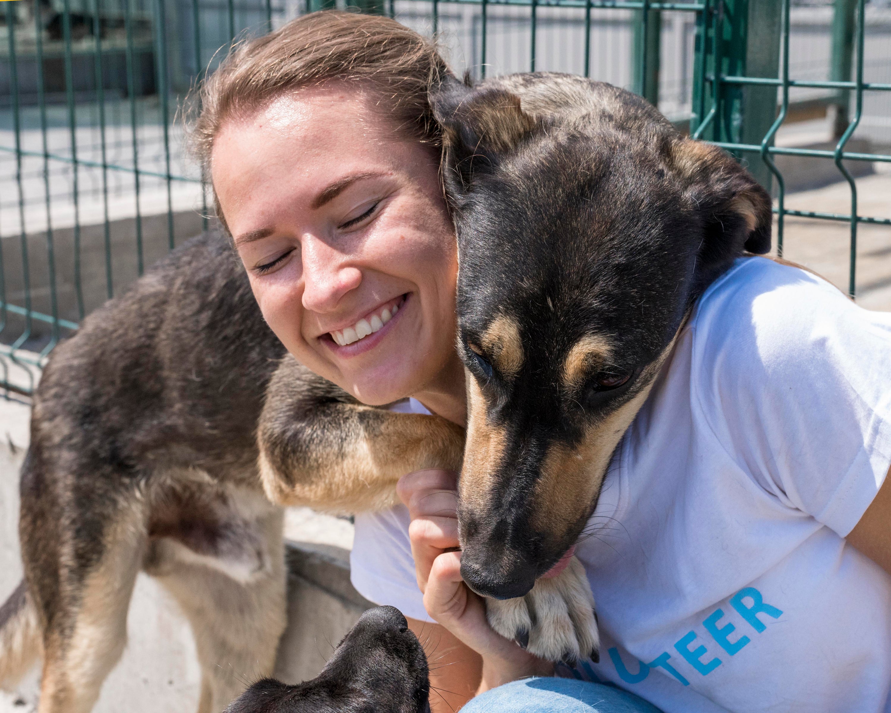 Giving Back: Local Dallas Rescues Barney & Boots Is Proud to Support