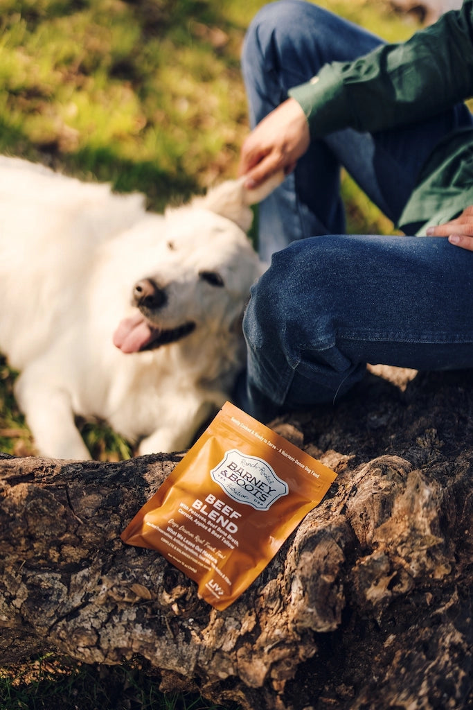 Person sitting with a dog on grass, next to a package of Nature's Variety Beef Blend dog food. Happy healthy dog 