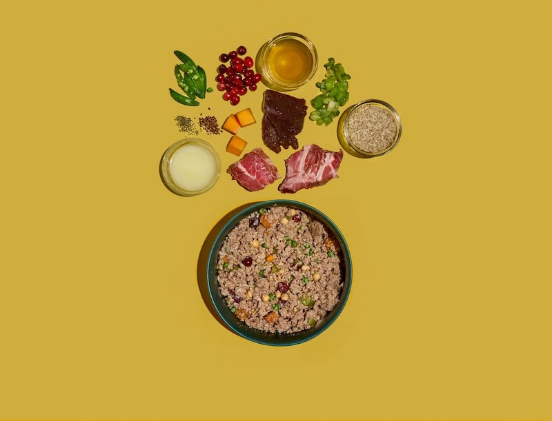 Barney and Boots Wild Boar Blend dog food served in a bowl showing real whole ingredients