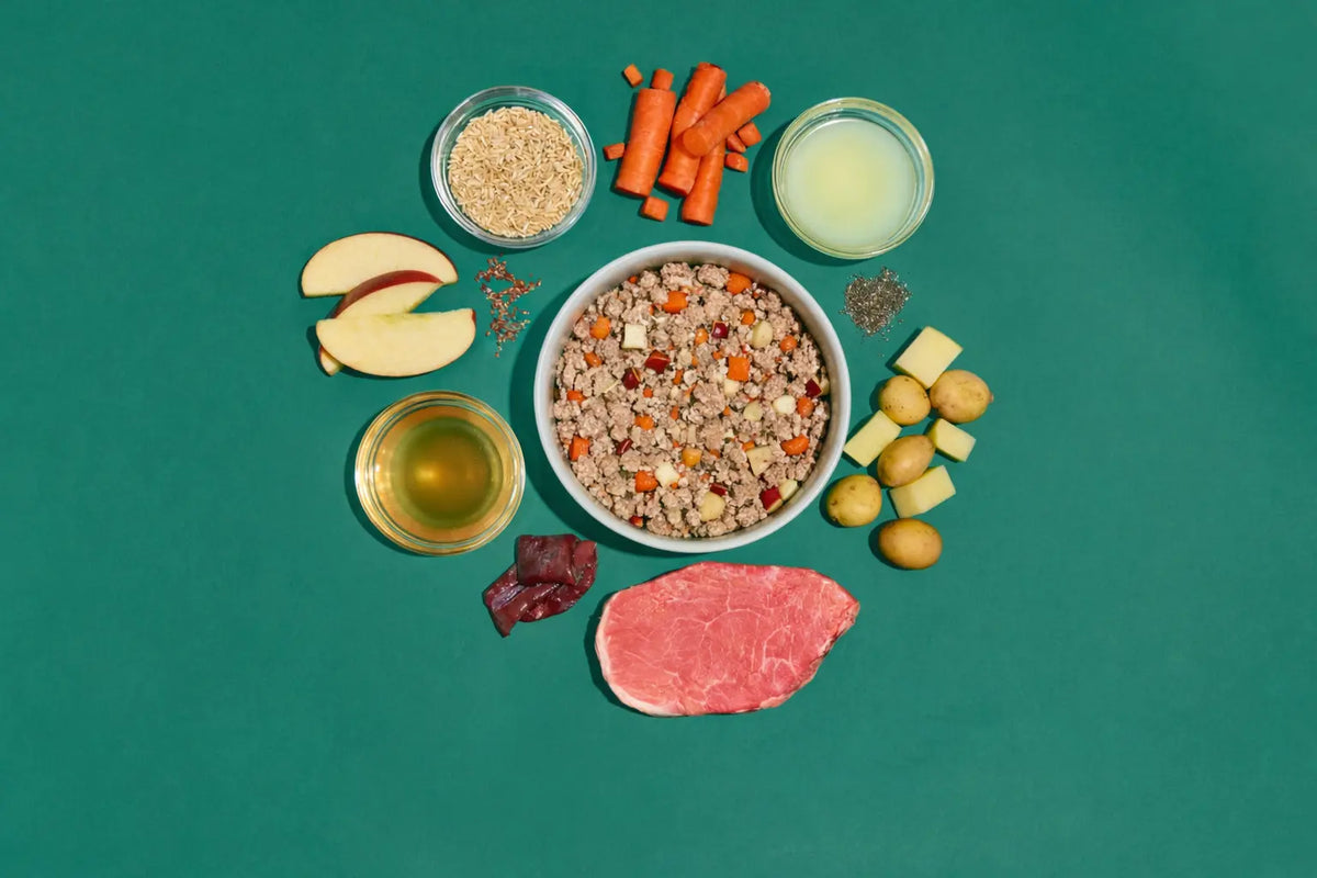 Barney and Boots Beef Blend served in a bowl showing real whole ingredients