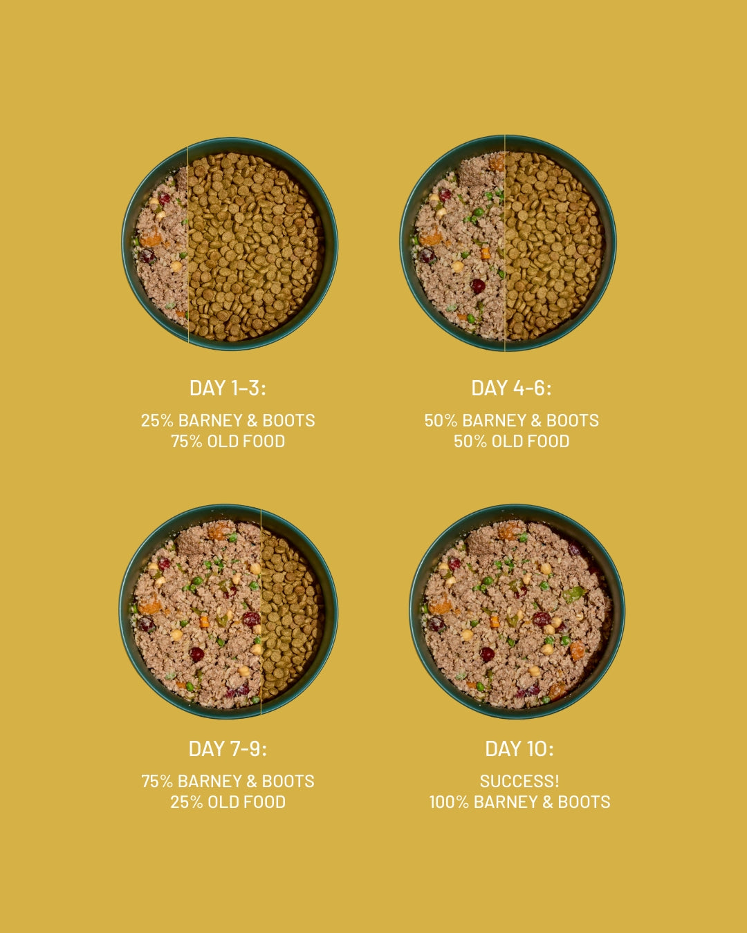 Barney and Boots 10-day food transition guide showing how to gradually switch your dog from old food to Barney and Boots over 10 days