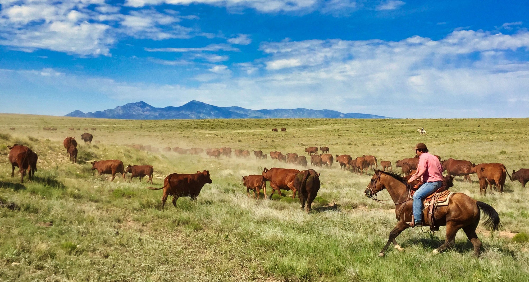 Juans cattle ranch home of Barney and Boots