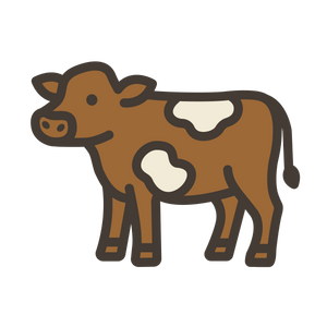 High quality protein icon