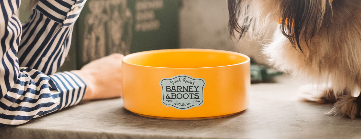 An empty Barney & Boots bowl with a dog waiting beside it